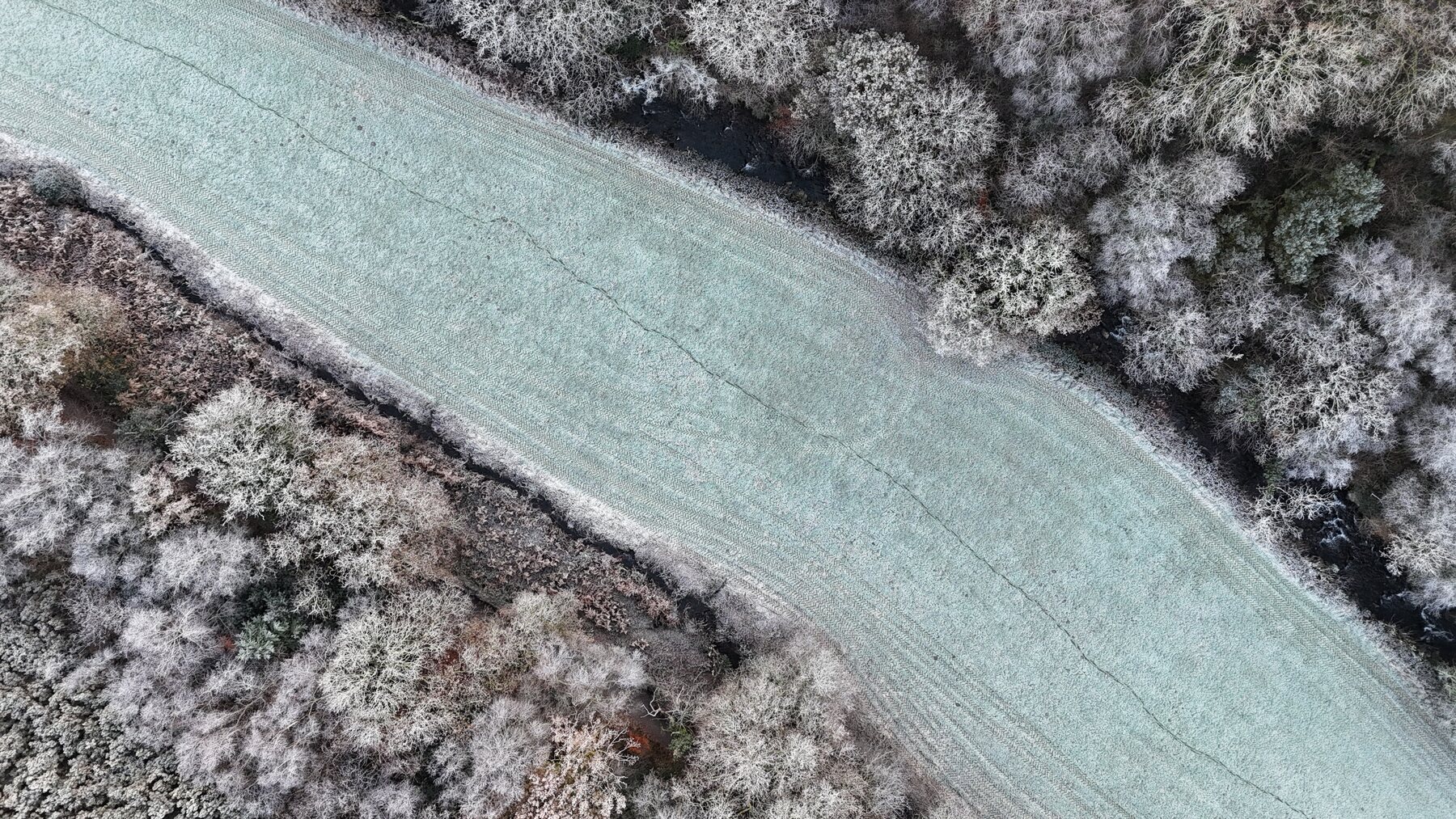 Straight-down aerial view of a field boundary and hedgerow